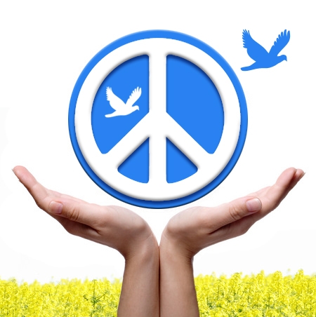 Barış ve Güvenlik: Küresel kamu malı olarak sunumu ve finansman mekanizmaları